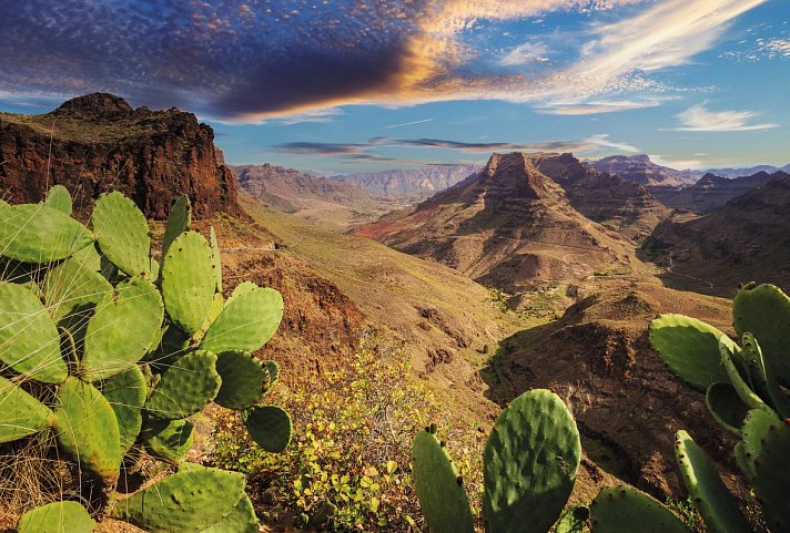 Kreuzfahrt Kanaren - Gran Canaria