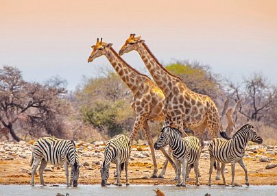 Namibia Rundreise Windhoek