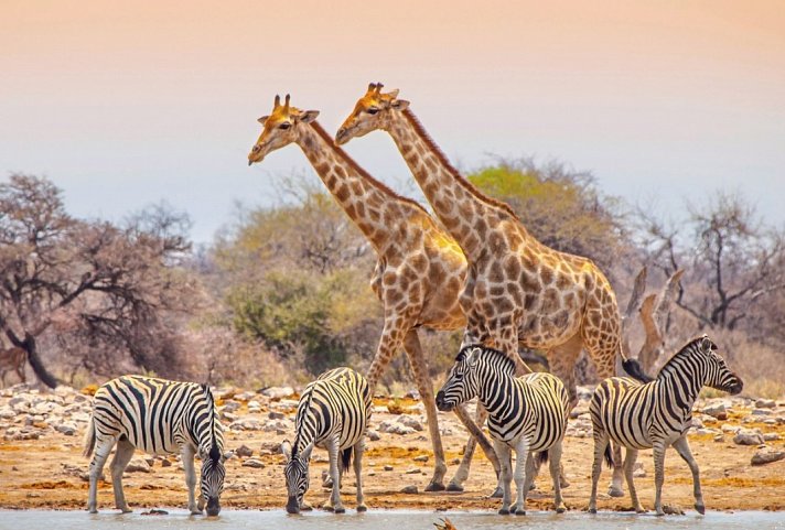 Namibia Rundreise