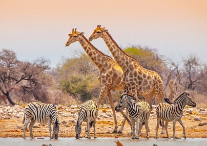 Namibia Rundreise