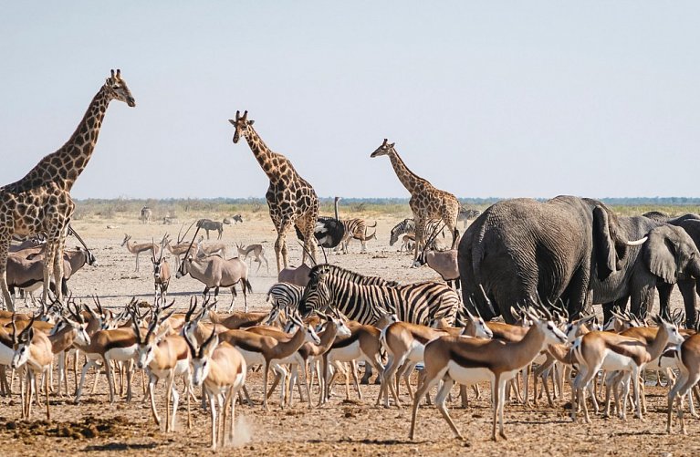 Namibia Rundreise