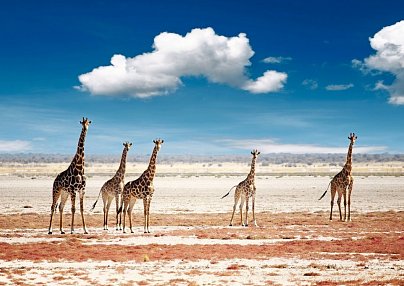 Namibia, Botswana, Simbabwe - Rundreise 