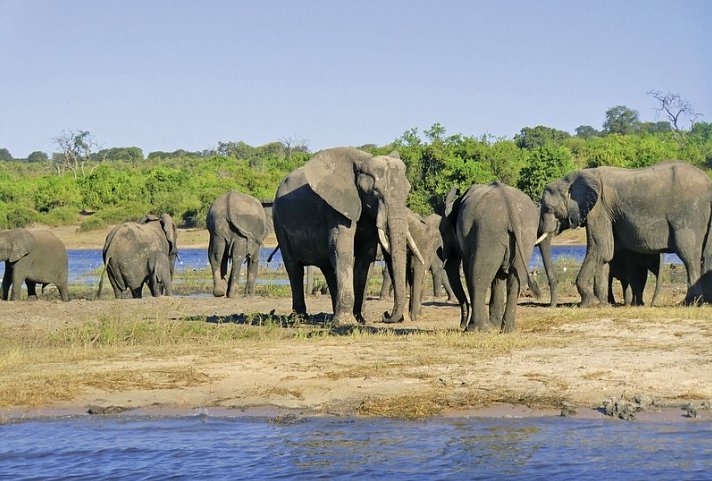 Namibia, Botswana, Simbabwe - Rundreise - Chobe Nationalpark
