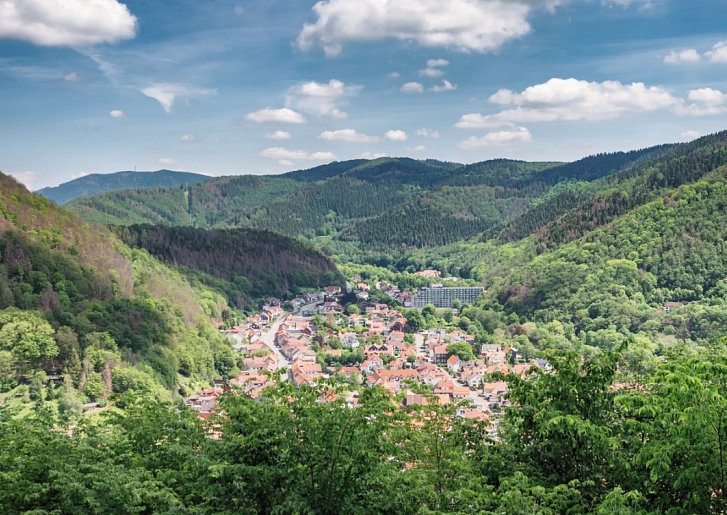 Panoramic Hotel – Ihr Aparthotel im Harz