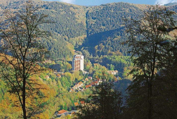 Panoramic Hotel – Ihr Aparthotel im Harz - Panoramic Hotel – Aparthotel im Harz