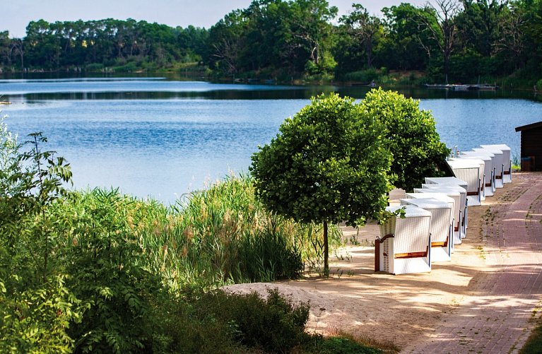 Bernstein Acamed Resort