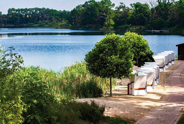 Bernstein Acamed Resort