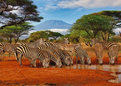 Kenia Safari und Baden – Hotel Severin Sea Lodge Mombasa
