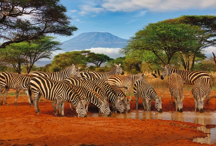 Kenia Safari und Baden – Hotel Severin Sea Lodge - Tsavo West Nationalpark