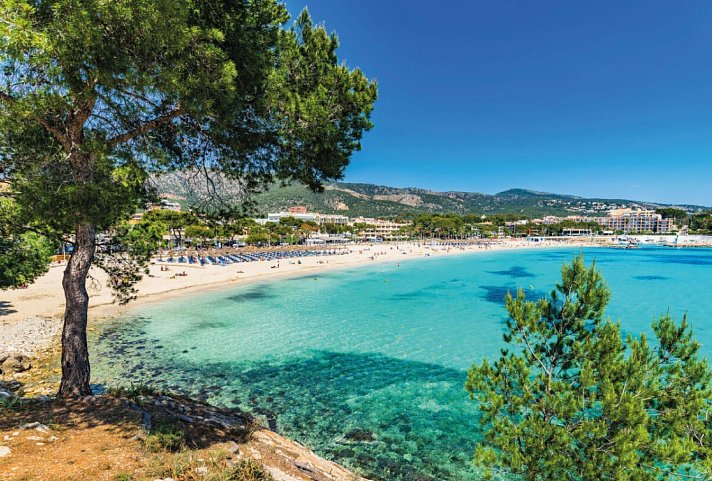 FERGUS Style Palmanova - Mallorca, Palmanova