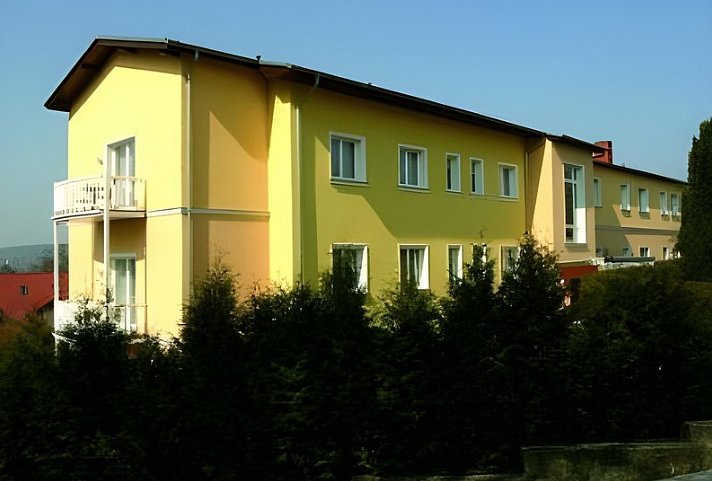 Arte Vita