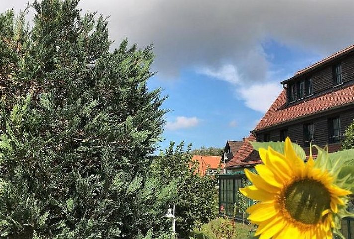 Hotel-Pension Seeadler
