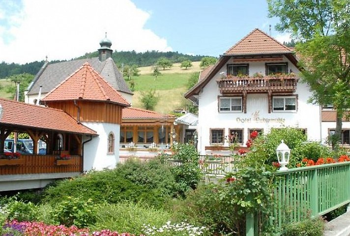 Ludinmühle