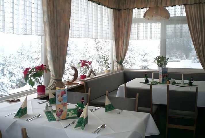 Panorama Ferien Hotel Harz