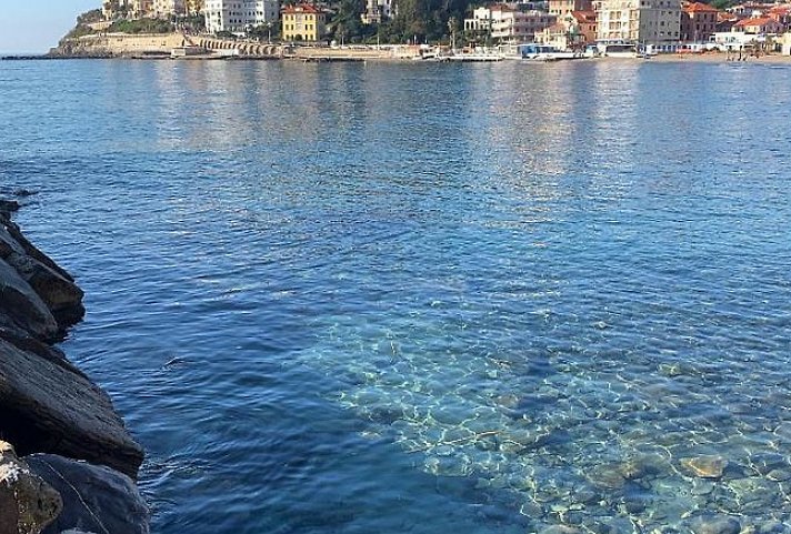 Croce Di Malta