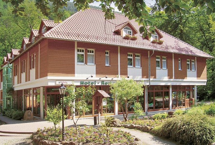 Kurpark Flair Hotel Im Ilsetal
