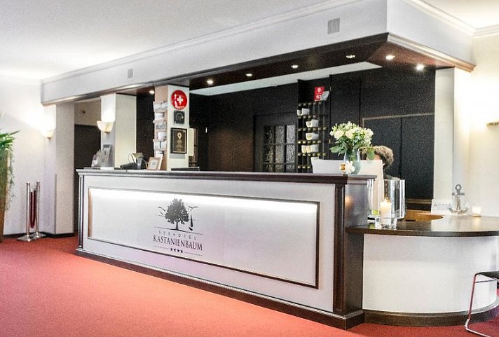 Seehotel Kastanienbaum