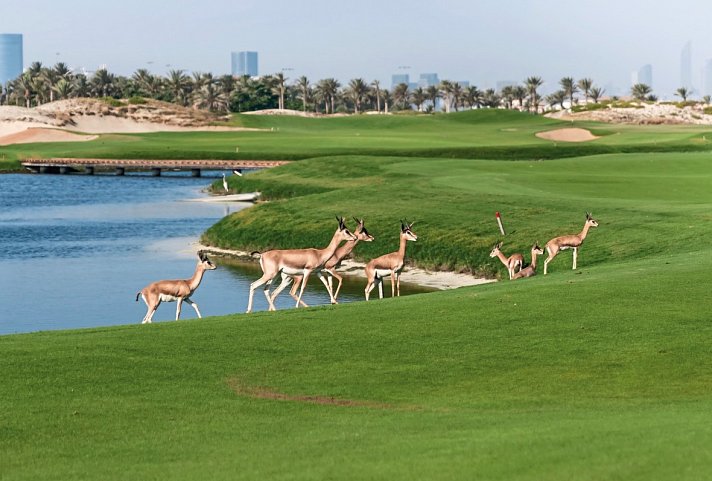 Park Hyatt Abu Dhabi Hotel and Villas - Saadiyat Beach