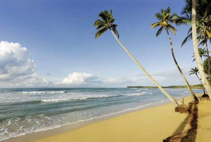 Viva V Samaná by Wyndham - Strand