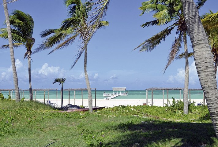 Starfish Cayo Guillermo