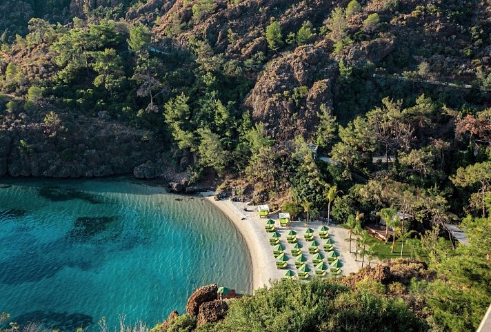 D Maris Bay