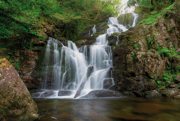 Höhepunkte rund um Killarney plus - Torc Wasserfall, Killarney NP