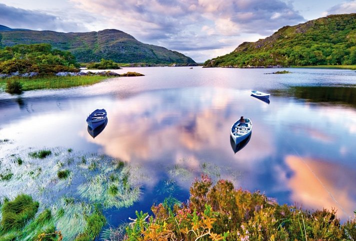 Höhepunkte rund um Killarney plus - Killarney Nationalpark