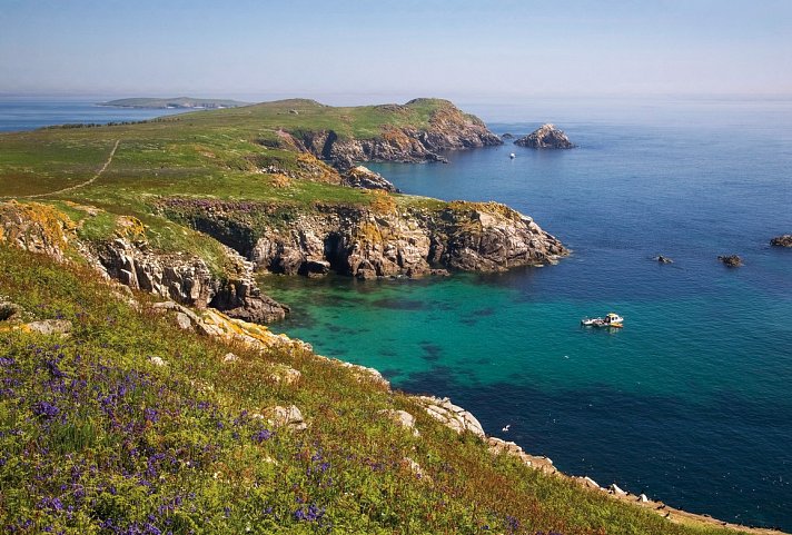 Familienerlebnistour Irland - Saltee Islands