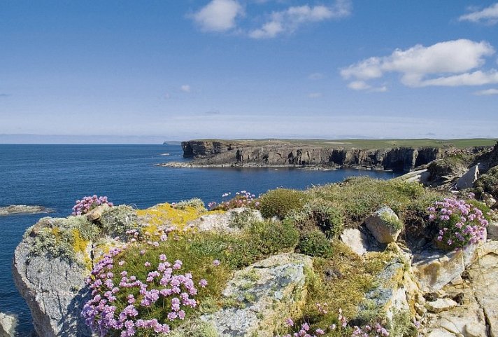 Majestätische Highlands und faszinierende Inseln - Orkney Inseln