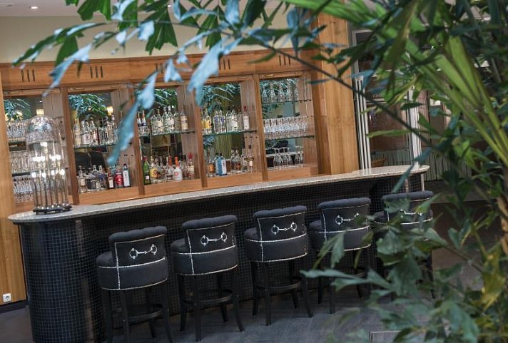 Congress Hotel Weimar by Mercure
