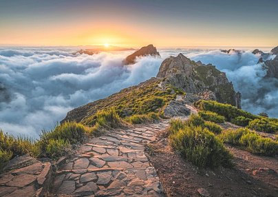 Madeiras Highlights erwandern Funchal