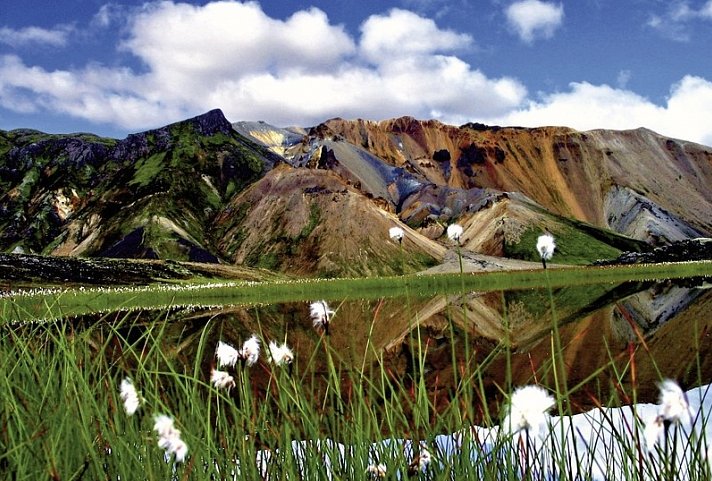 Island intensiv