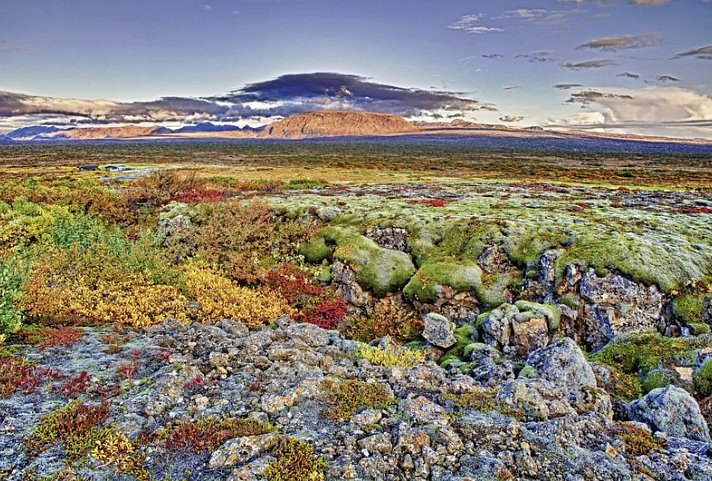 Island intensiv