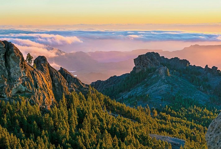 Gran Canarias Highlights erwandern