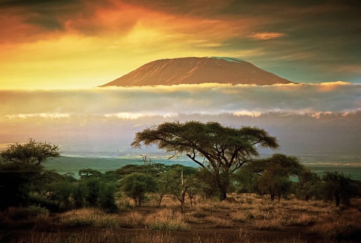 Tsavo & Amboseli