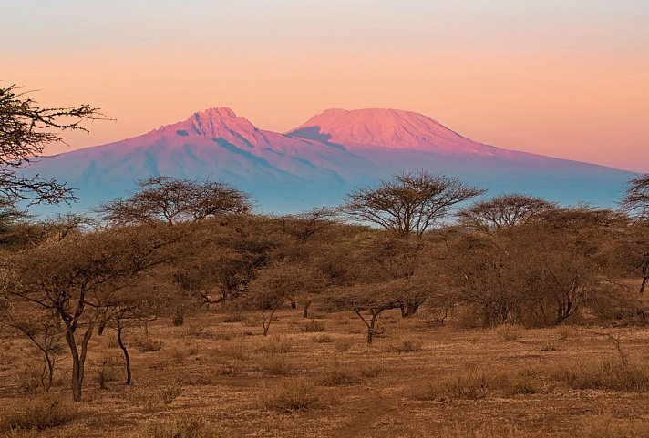 Kenia Allround - Kilimanjaro
