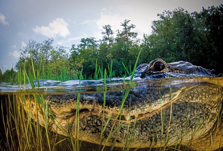 Manhattan Express & Florida Sunshine State inkl. Badeverlängerung (Standard) - Everglades Nationalpark