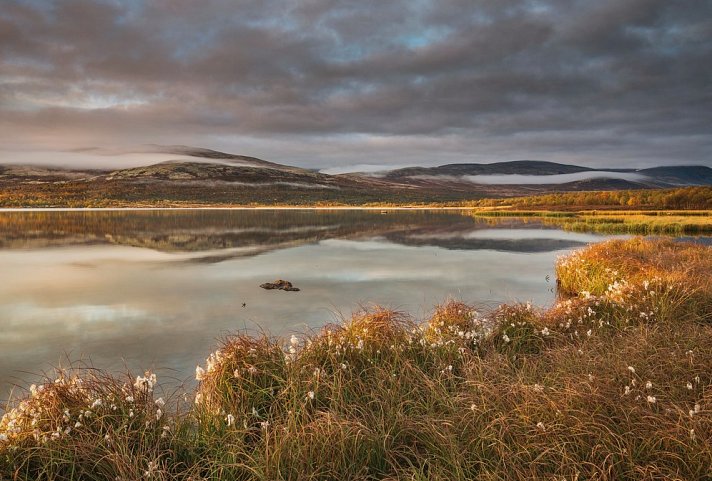 Fjordgiganten und Berglandschaften - Dovrefjell