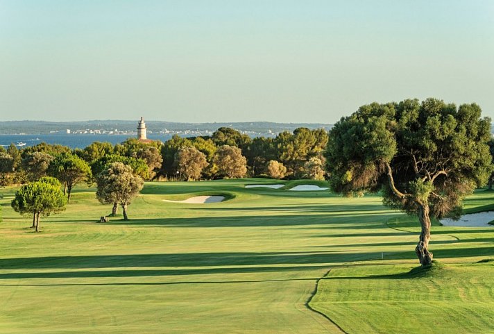VIVA Golf Adults Only 18+