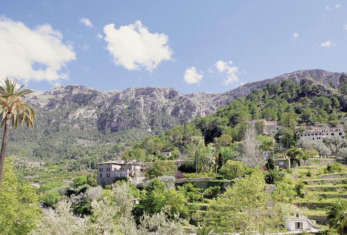 Es Moli