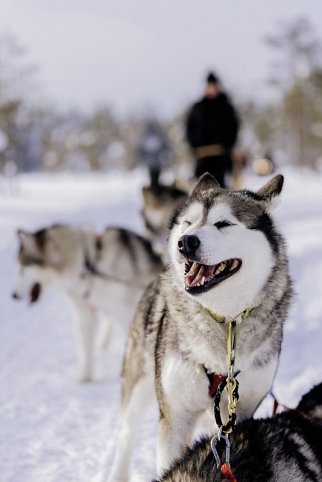 Polarkreismetropole Rovaniemi Vaattunki