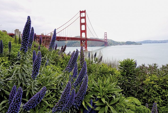 Naturschönheiten der Westküste - Golden Gate Bridge