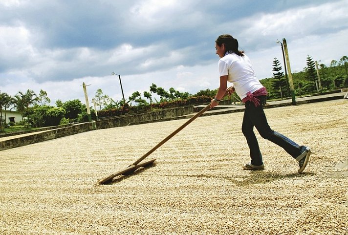 Grünes Paradies (10 Nächte ) - Doka Kaffeeplantage