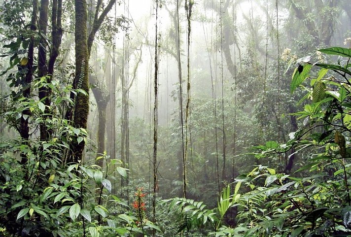 Best of Costa Rica