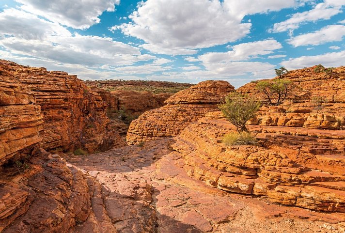 Naturparadiese und Weltstädte