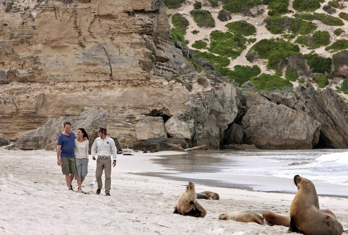 Naturparadiese und Weltstädte