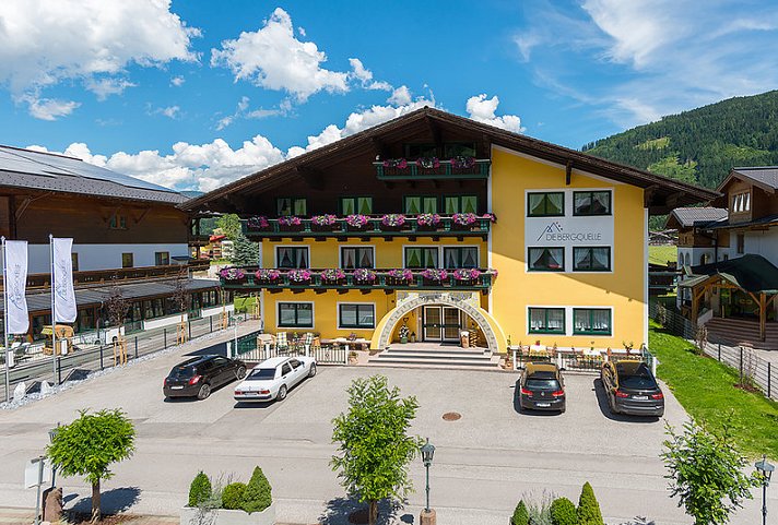 Die Bergquelle
