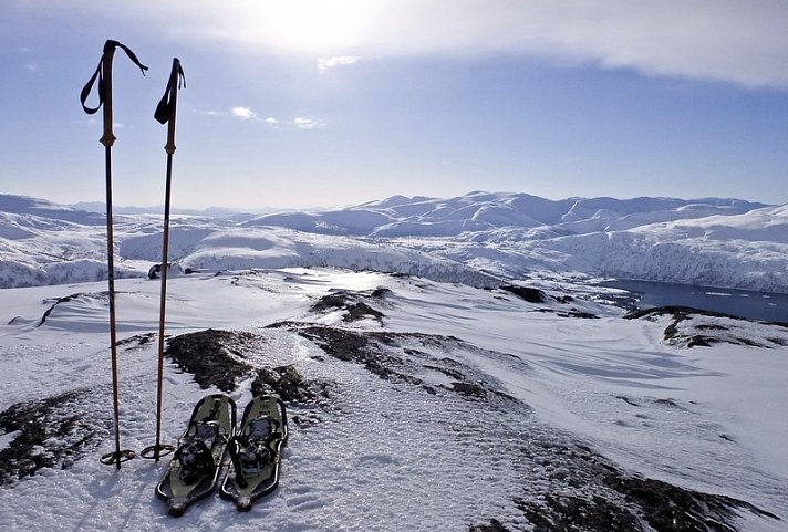 Wildlife, Polarlichter und Naturparadies Senja - Schneeschuhwanderung auf Insel Senja