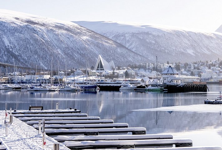 Wildlife, Polarlichter und Naturparadies Senja - Tromsø
