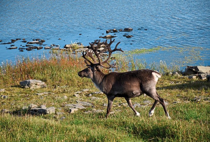 Naturparadiese im hohen Norden